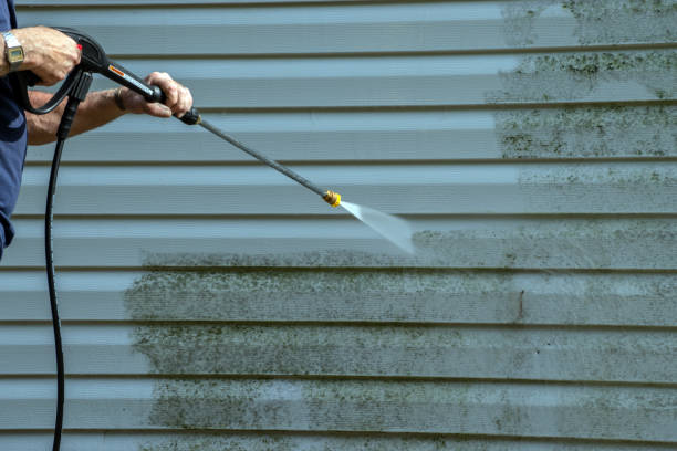 Best Exterior Home Cleaning  in Waymart, PA